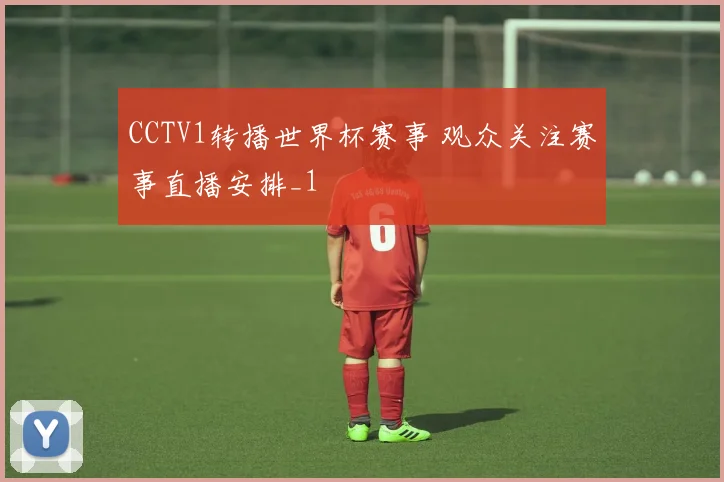 CCTV1转播世界杯赛事 观众关注赛事直播安排_1