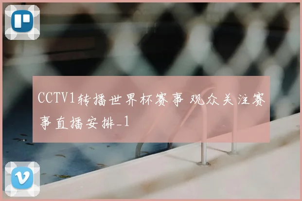 CCTV1转播世界杯赛事 观众关注赛事直播安排_1