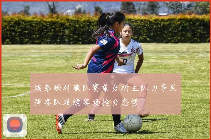 埃弗顿对狼队赛前分析主队力争反弹客队延续客场抢分态势
