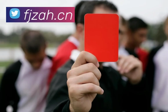 华体会体育|hth sports 官方网站 - 体育预测与知识挑战平台平台生态图